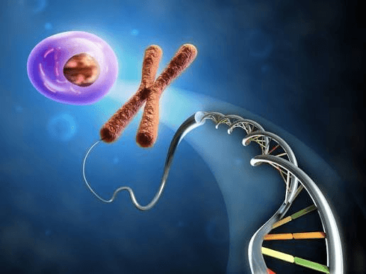 Illustration explaining the genetics of retinoblastoma